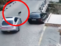 Водитель на скорости сбил собаку: адвокат добивается наказания