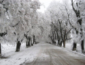 В Молдове ожидается снегопад! Объявлен желтый уровень метеоопасности
