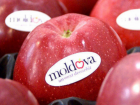 Новая головная боль для молдавских поставщиков яблок