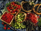 Коронавирус сказался на структуре продаж плодоовощной продукции в Молдове
