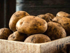 Министр сельского хозяйства потратил целый день на поиски дешёвой картошки, пытаясь доказать, что цены не растут, а падают