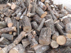 Спрос на древесину превышает запасы