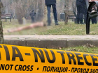 Запутанное дело с трупом девушки в «Дендрарии»: незадолго до смерти она обратилась в больницу, заявив о нападении