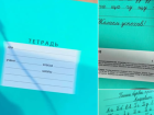 «Даже школьная тетрадь»: в Молдове политик возмутилась продажей товаров российского производства