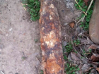 Жители Слободзейского района обнаружили боеприпасы времен Второй мировой войны 