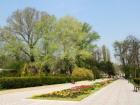 Жителям Кишинева все-таки разрешили гулять в парках