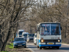 В Кишиневе по отремонтированной улице запустят два автобусных маршрута 