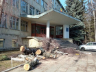 Скандал в Кишиневе: Вырубают парк на Академической ради строительства