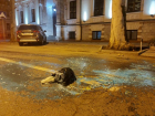На депутата Никифорчука было совершено нападение