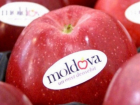 Что нужно знать производителям фруктов в Молдове, чтобы экспортировать свою продукцию на рынок ЕС 