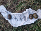 Житель приднестровского села наткнулся на гранаты на своем земельном участке