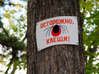 В Молдове активизировались клещи: отмечено три случая заболевания Лайма 