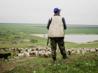 Один убит, другой тяжело ранен: в Новоаненском и Ниспоренском районах атаковали пастухов