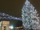 Новогодняя елка будет установлена в парке Кафедрального собора