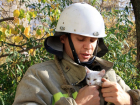 В Тирасполе две трети спасенных котов отплатили пожарным черной неблагодарностью