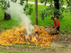 Штрафы за сжигание листвы и мусора доходят до 9 тыс. леев