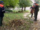 В Кишиневе стартует осенняя кампания по уборке листьев 