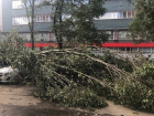 Сильнейший ураган в Румынии: женщина погибла и более 30 человек получили ранения