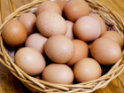 Химия в куриных яйцах: ANSA отзывает продукцию и уничтожает поголовье птиц