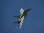 Истребитель МиГ-29 рухнул в окрестностях столицы России