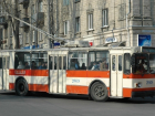 Повышение стоимости абонементов на проезд в троллейбусах может быть пересмотрено