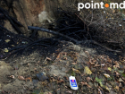 На месте пожара «Моста влюбленных» в парке Долина Роз найдены улики поджога