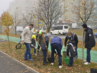 Несколько сотен деревьев было высажено в Кишиневе, на Чеканах