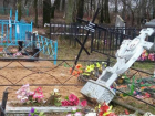 Погром на сельском кладбище в Рыбницком районе устроили дети