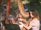 Уникальный концерт состоялся в парке «Дендрарий» в Кишиневе