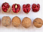 Житель Молдовы зарегистрировал новый сорт «гламурного» ореха