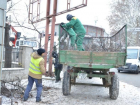 В столице начали проводить зимнюю обрезку деревьев