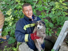 "Начинаем день с добрых дел": спасатели извлекли щенка из 4-х метрового колодца в Кишиневе 