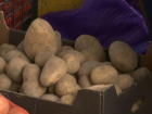 Молдавская картошка сдаёт позиции - на центральном рынке практически не осталось местного картофеля