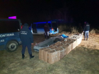 15 тысяч пачек сигарет в надувной лодке: пограничники пресекли попытку контрабанды 