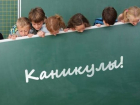 Школьные зимние каникулы продлятся 15 дней