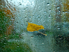 На Молдову идут дожди и похолодание 