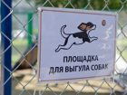 В Кишиневе будут обустроены места для выгула собак