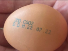 Яйца, зараженные сальмонеллой, были изъяты из продажи