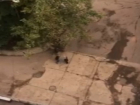 Нападение хулиганов на мужчину в центре Кишинева снял на видео житель дома