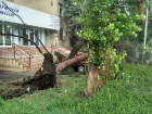 На Молдову обрушилась буря: север страны серьезно пострадал
