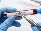 Правительство закупило в Китае лучшие тесты для определения коронавируса  