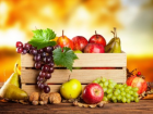 За три года количество экспортеров фруктов из Молдовы в Россию удвоилось