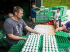 Ядовитые яйца привезли в Румынию предприниматели из Нидерландов