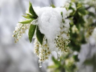 Во вторник в Молдове будет холодно: ночью ожидаются заморозки