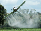 Пестициды уничтожили десятки га посевов в Рышканском районе
