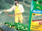 Популярный в Молдове химикат Rоundup вызывает рак