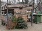 «Зеленое хозяйство» начало переработку новогодних елок 