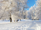 Воскресенье порадует жителей Молдовы великолепным морозным днем 