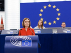 Ризя устроил скандал в Европарламенте, попытавшись сорвать выступление Санду