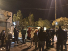 Сотни овец умирают от голода и жажды в порту под Одессой